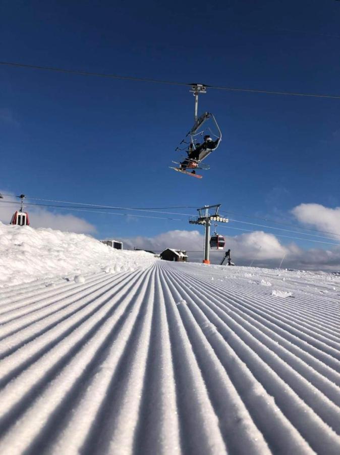 New Gudauri Redco Twins-Premium Mountain Apartment Close The Gondola Lift Extérieur photo
